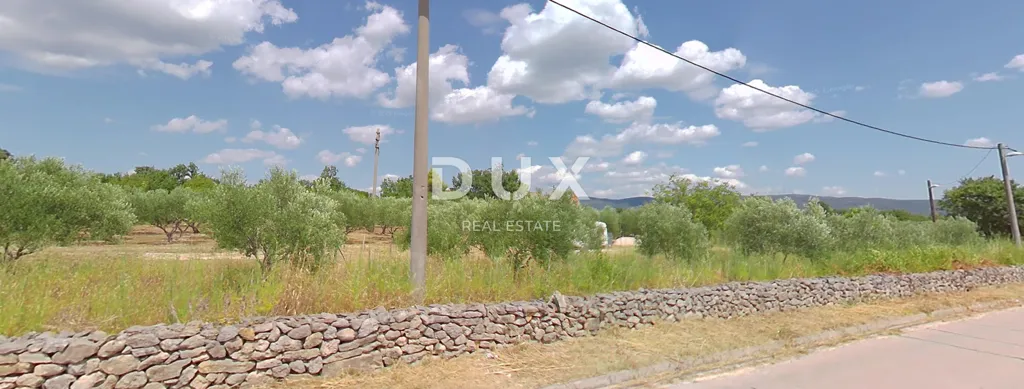 Jardin - Olive Grove with Construction Land in Zadar