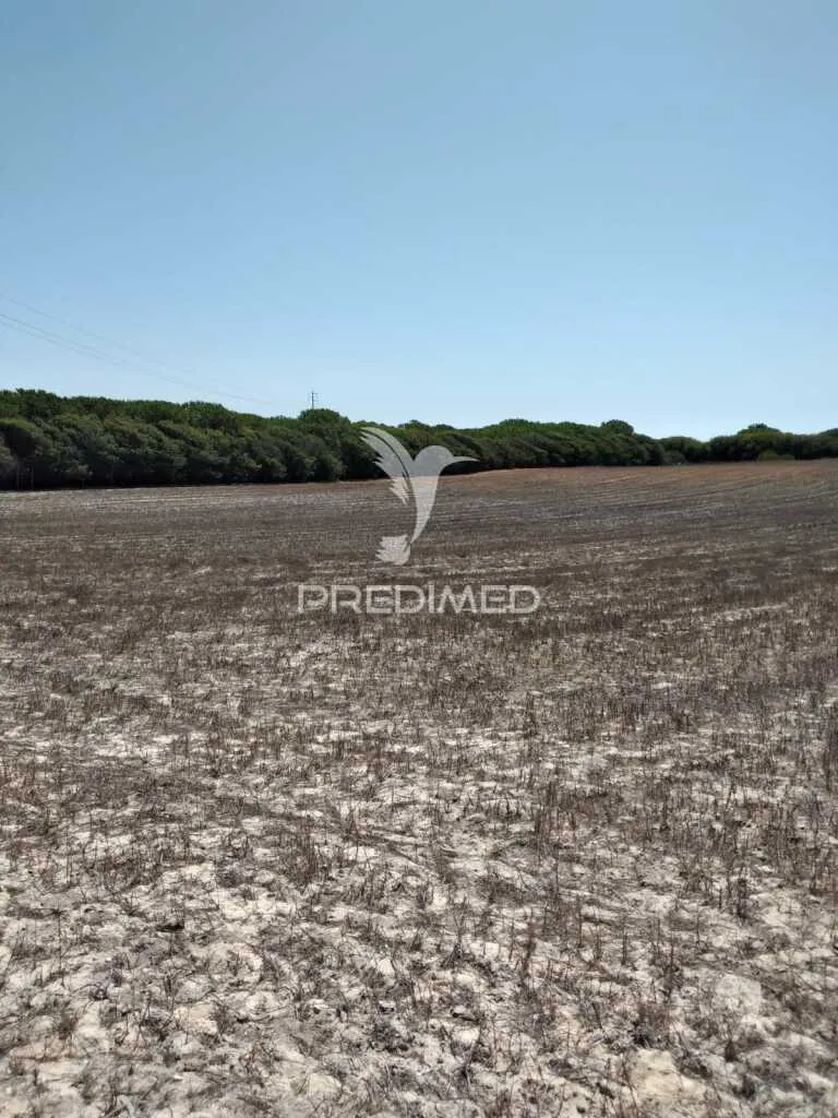 Rustic Plot with Sea Access in Porto Côvo