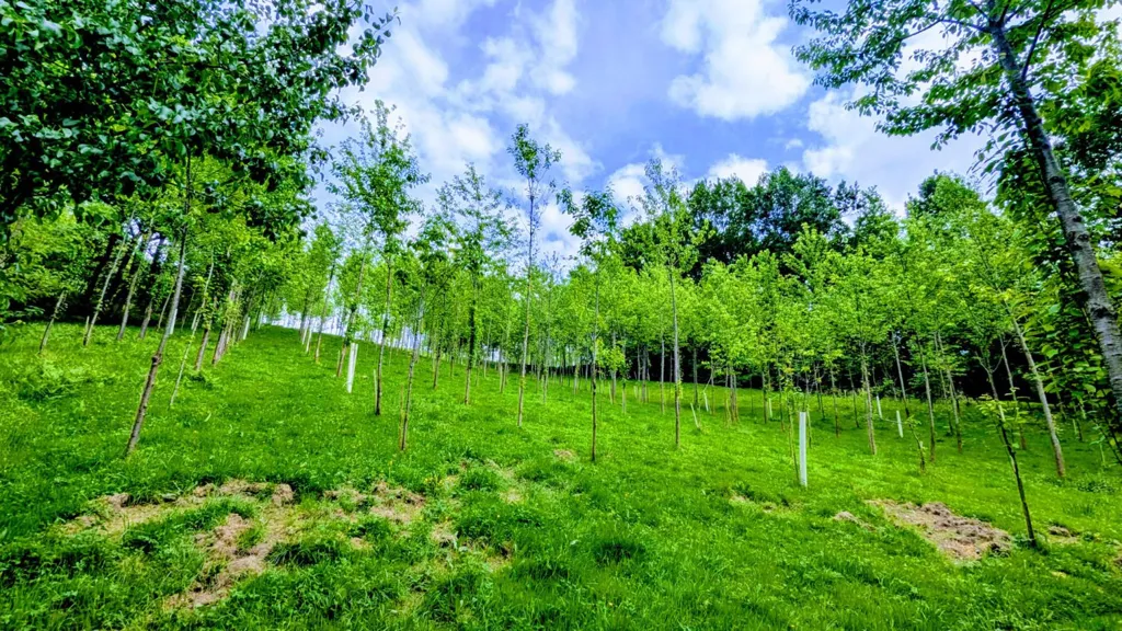 Garden - Caserío with Garden in Llodio