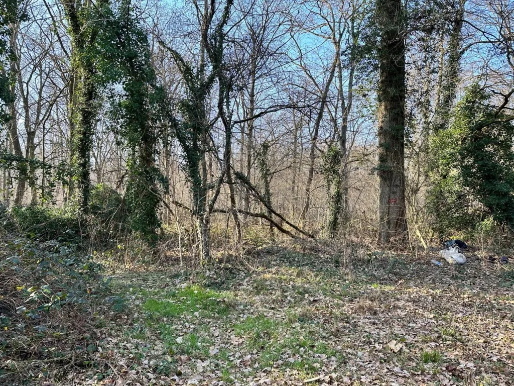 Jardin - Terrain en Forêt à Bâtir à La Genevraye