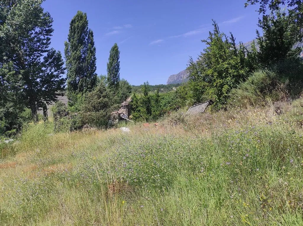 Garden - Rustic Borda with Garden near La Fueva