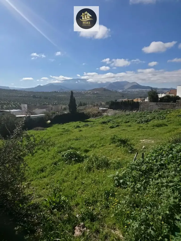 Garden - Building Land with Elevated Views in Puente Nuevo