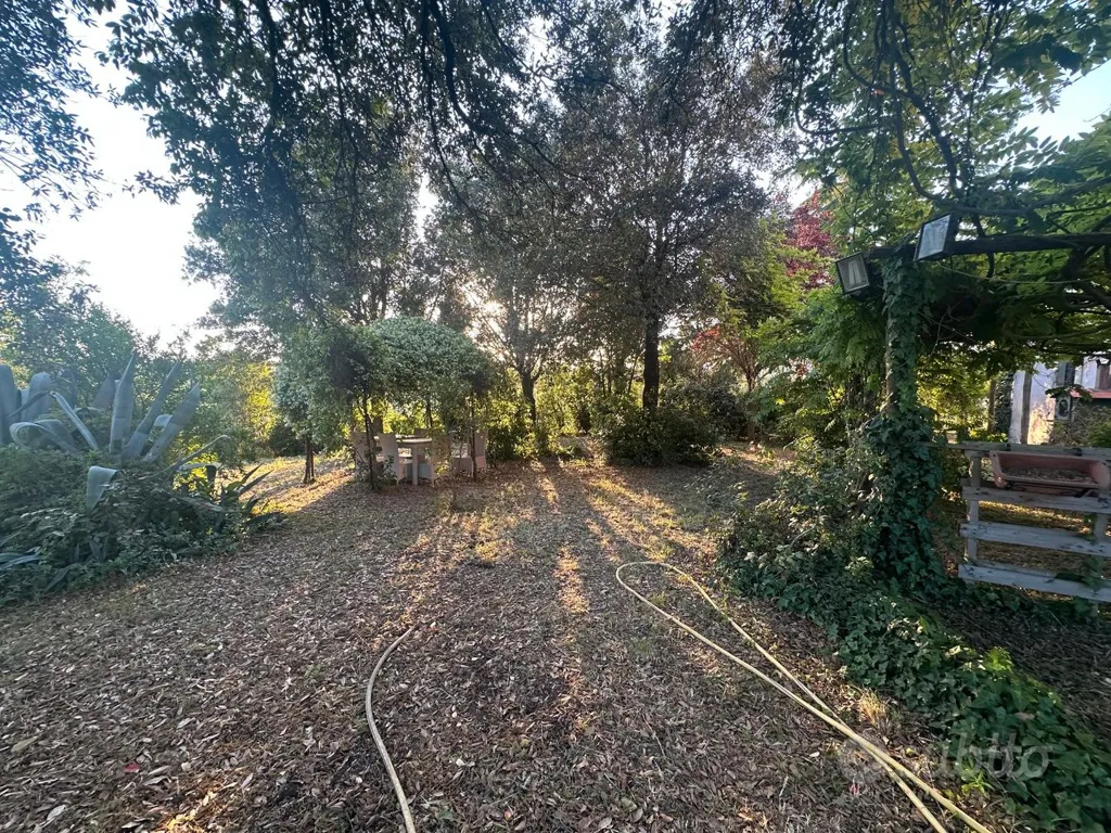 Aed - Historic Casale with Pool near Viterbo