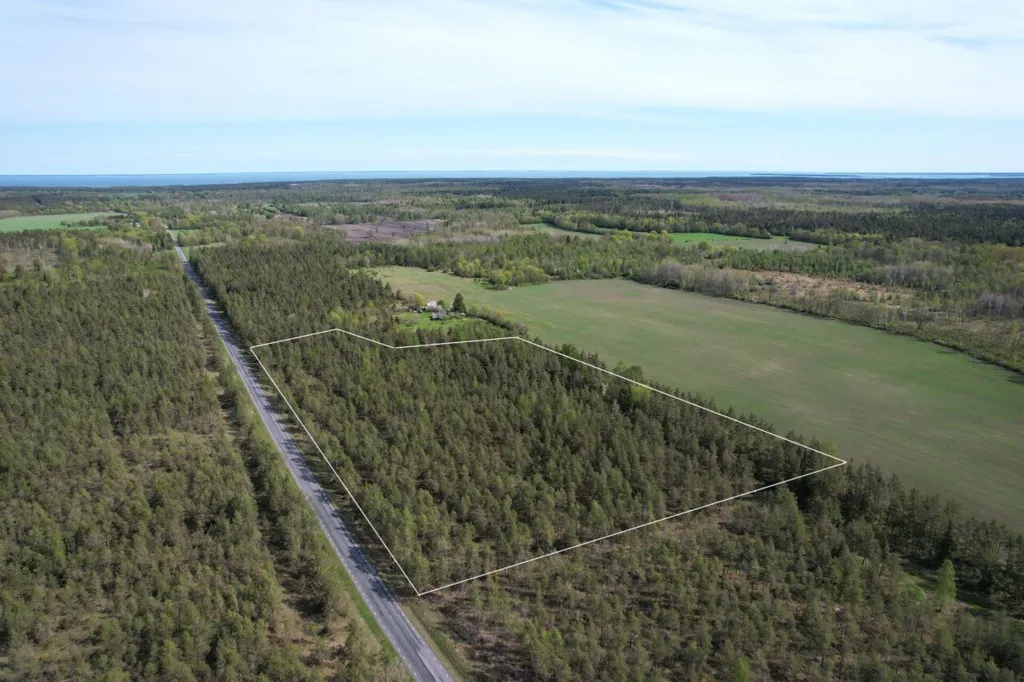 Vue aérienne - Forested Land with Access Road in Väike-Võhma, Saaremaa