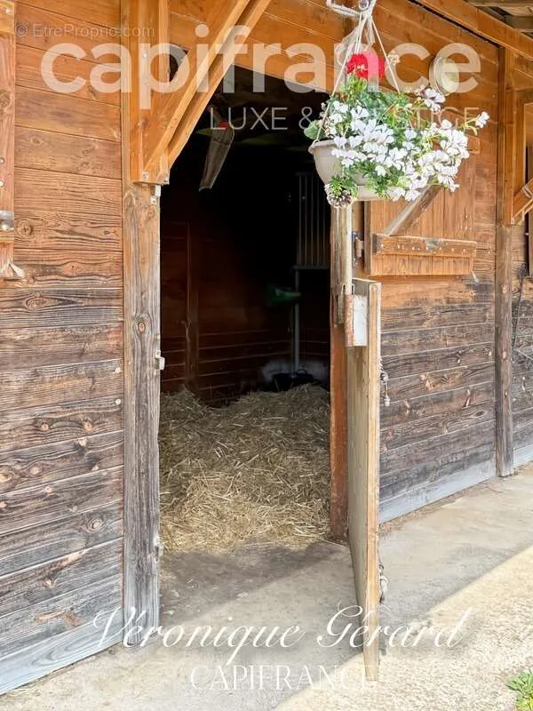 Aed - Equestrian Property with Longère in Salleboeuf