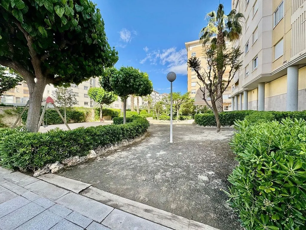 garden