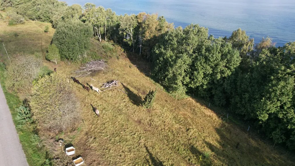 land_plot