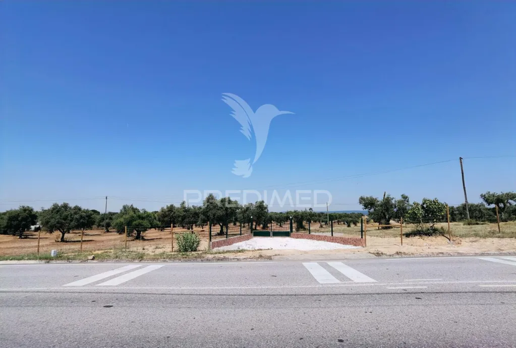 Jardin - Rural Quinta with Olive Grove in Vaqueiros