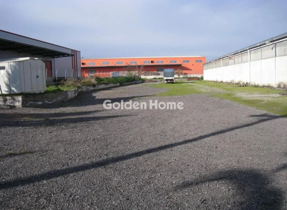 Aed - Industrial Space with Loading Bay in Oinoi