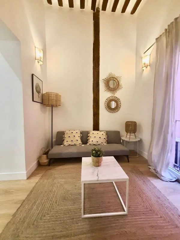 Séjour - Furnished Studio in Lavapiés, Madrid