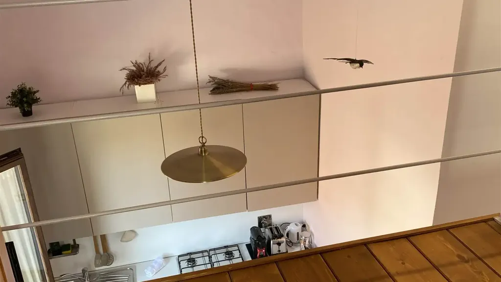 Toad - Panoramic Studio in Florence's Historic Centre