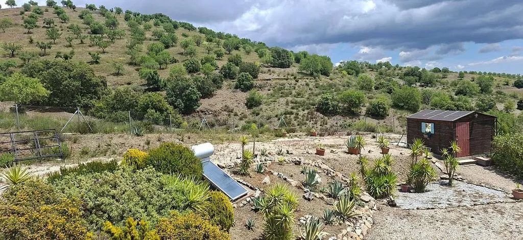 Jardin - Villa with Pool and Terrace in Vélez-Rubio