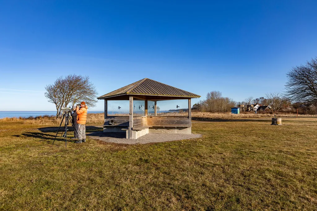 Jardin - Cottage by the Sea in Degerhamns Hamn