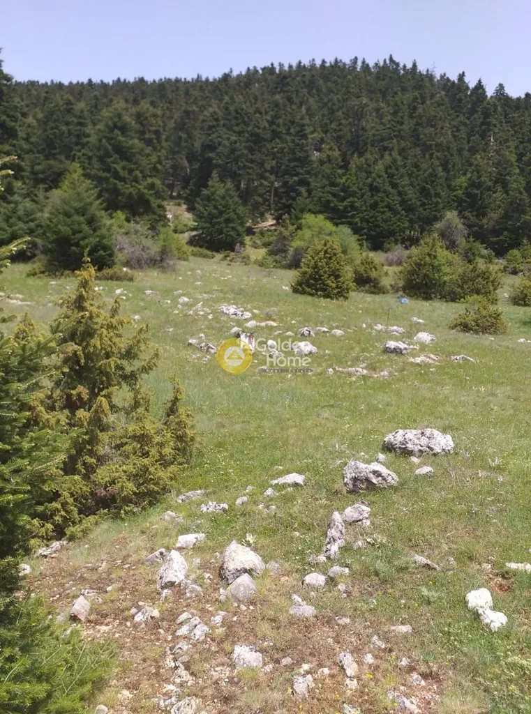 Terrain à GR