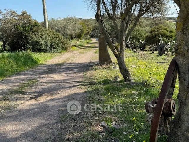 Jardin - Agritourism Property with Pool in Tresnuraghes