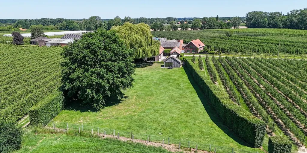Õhuvaade - Renovated Farmhouse with Garden in Stevoort