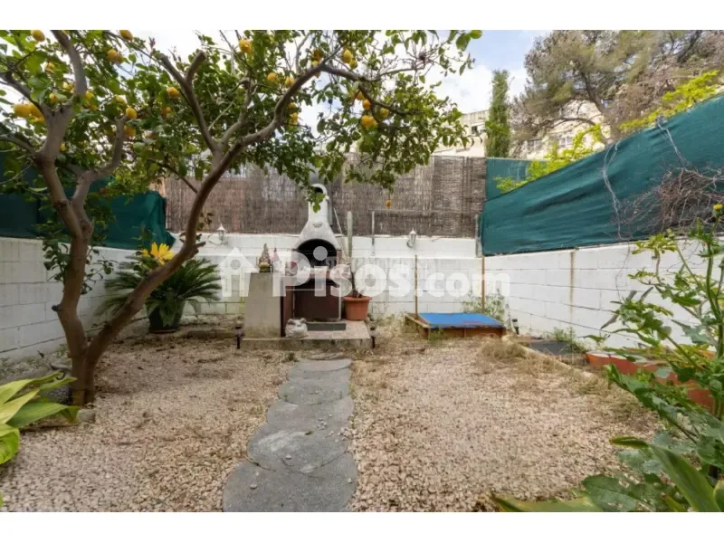 Jardin - Maison 4 pièces à ES
