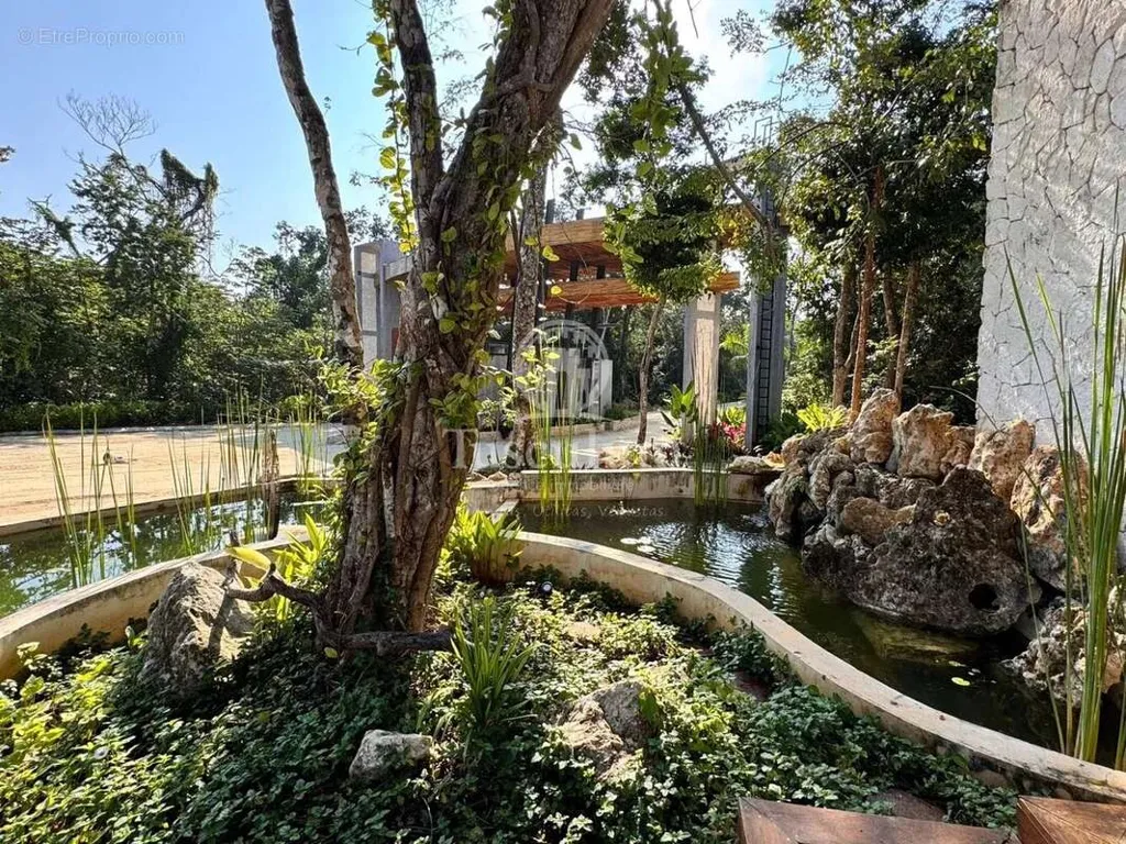 Aed - Luxury Villa with Jungle View in Riviera Maya