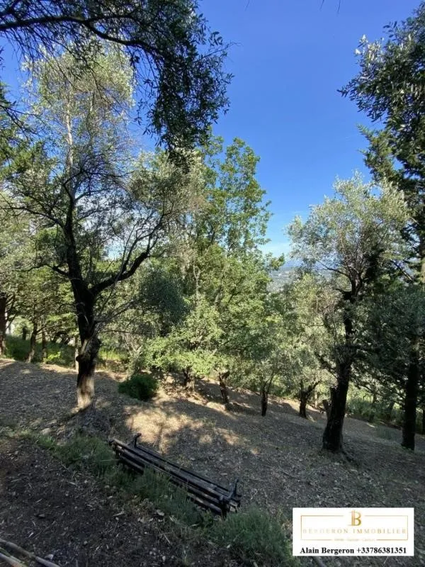 Jardin - Villa avec SPA et Potentiel d'Agrandissement au Tignet