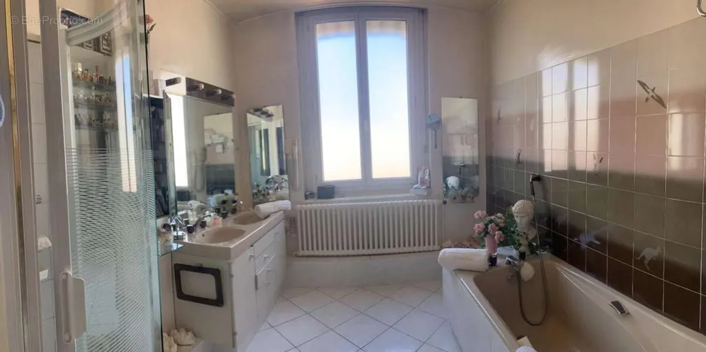 Vannitoad - 5-Piece Apartment with Balcony in Lyon 2ème