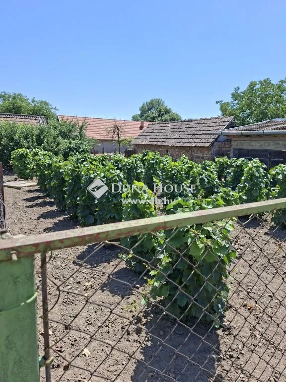 Jardin - Traditional Brick House in Mezőszilas