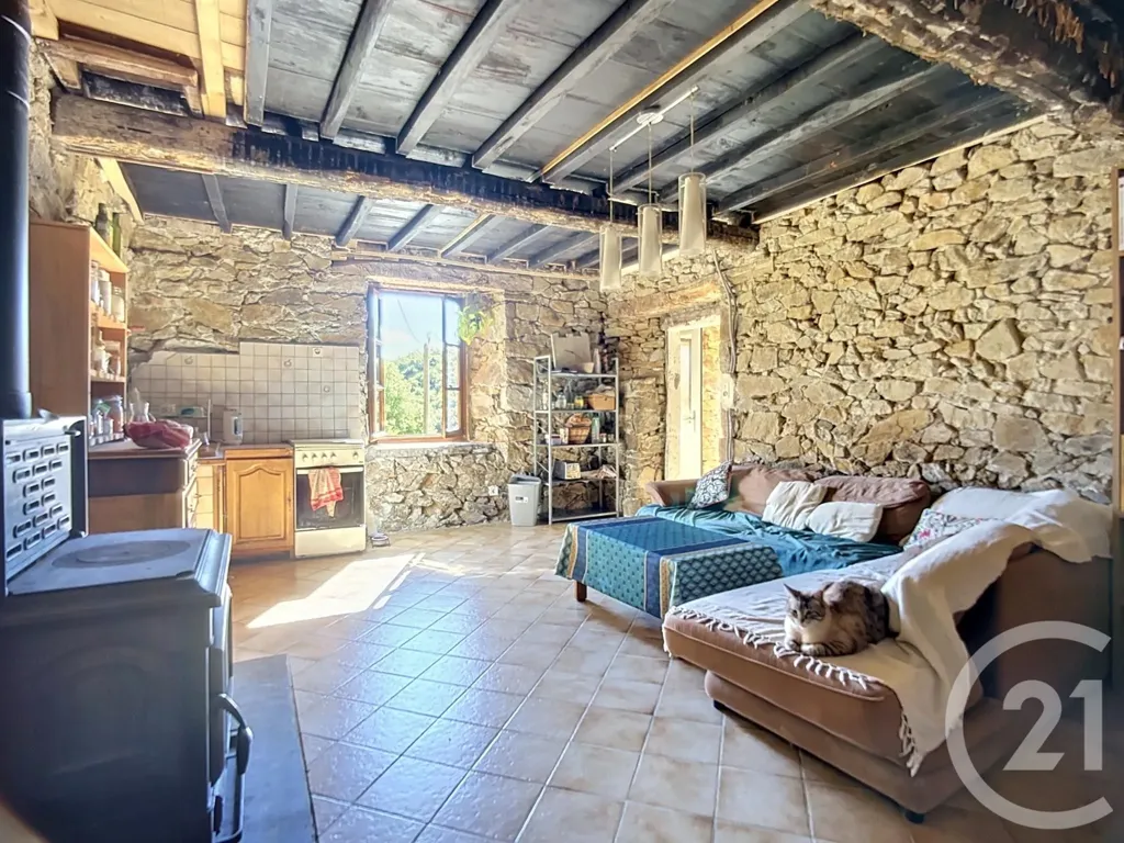 Séjour - Maison en Pierre avec Terrain à Aleu