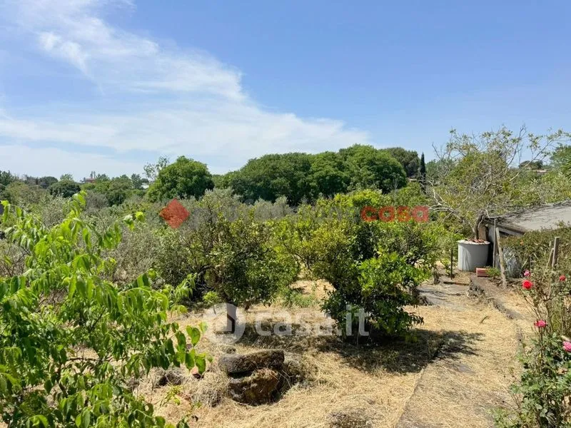 Aed - Rustic Villa with Private Garden in Aci Bonaccorsi
