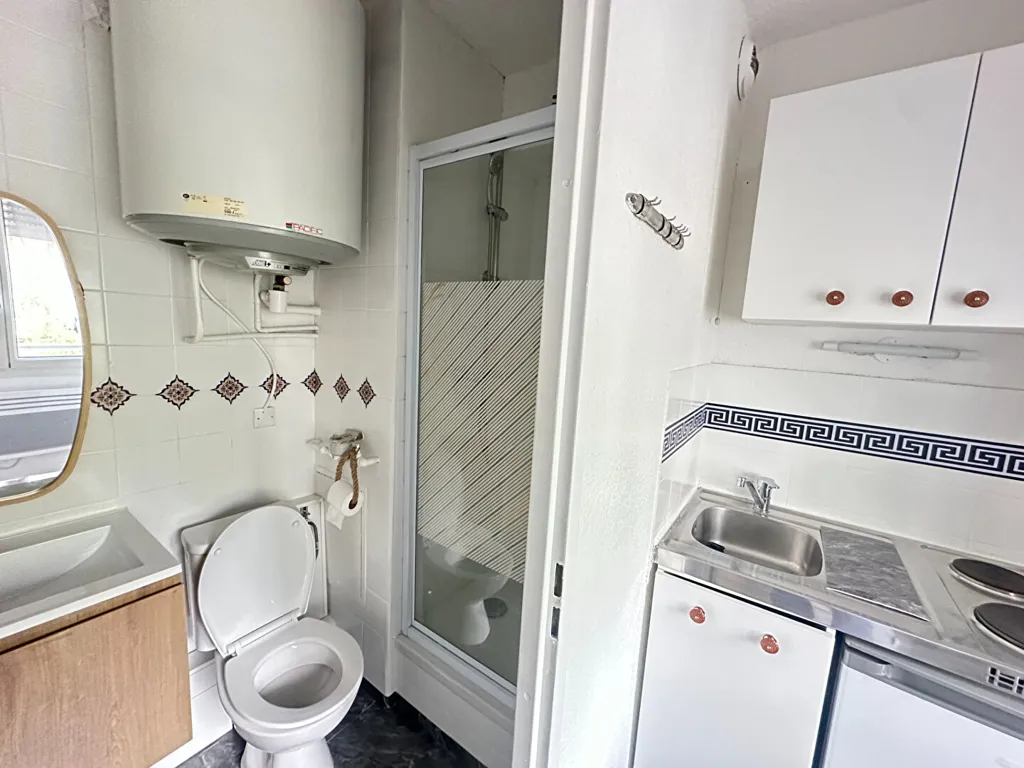 Vannitoad - Refurbished Studio in Grenoble