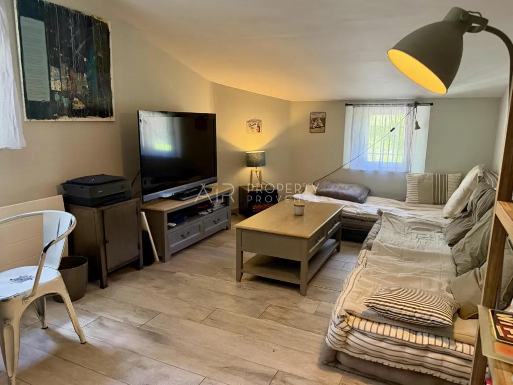 Séjour - Maison Rénovée avec Piscine à Lourmarin