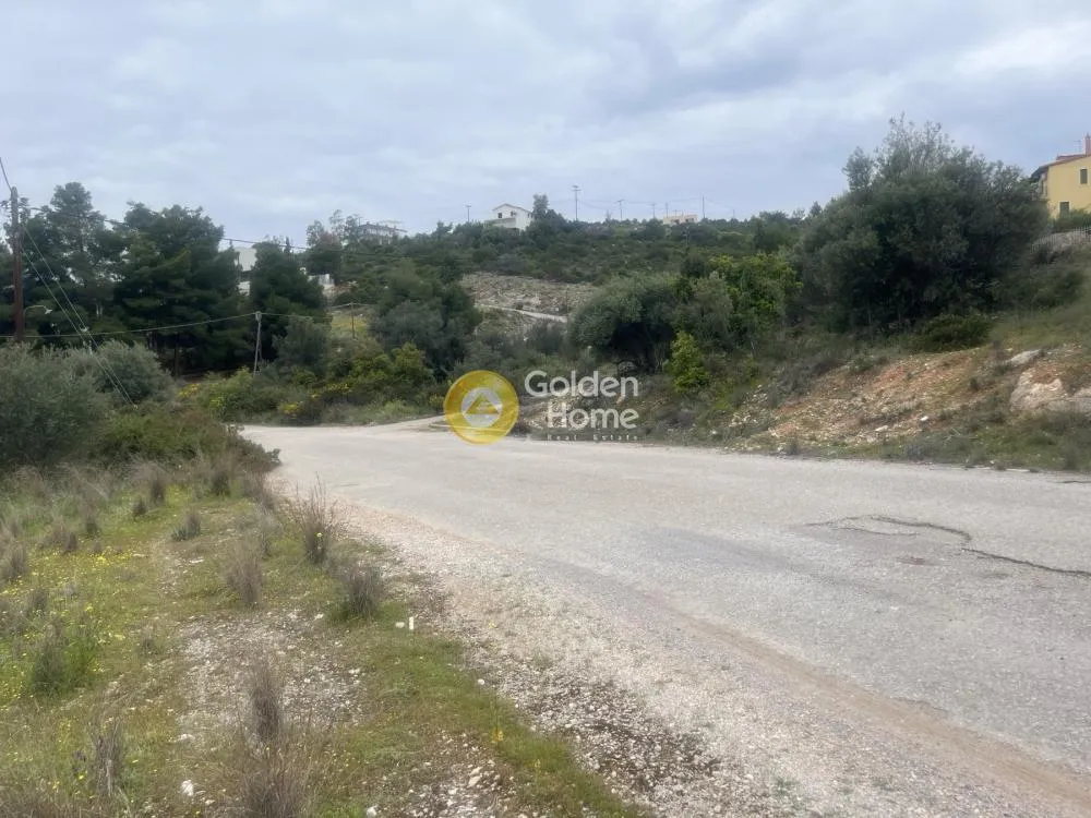 Aed - Corner Plot with Olive Trees in Theologos