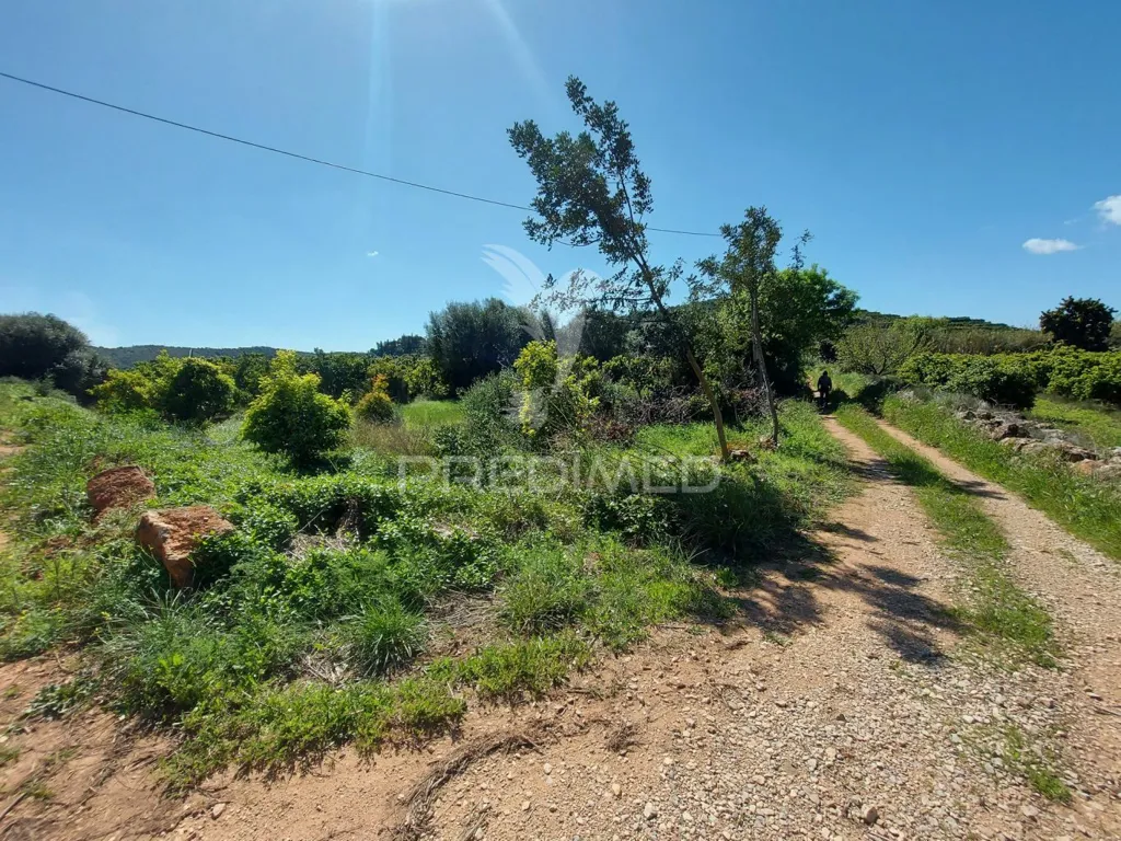 Garden - Agricultural Land with Water Source in Silves
