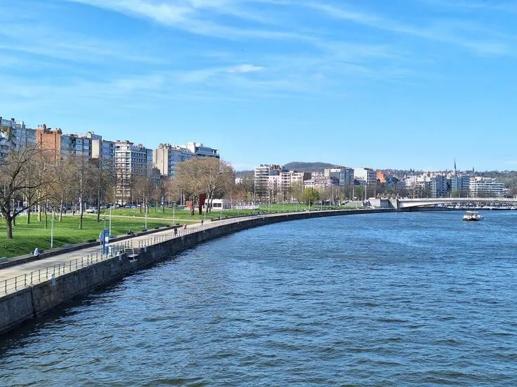 Flat with Passerelle View in Guillemins