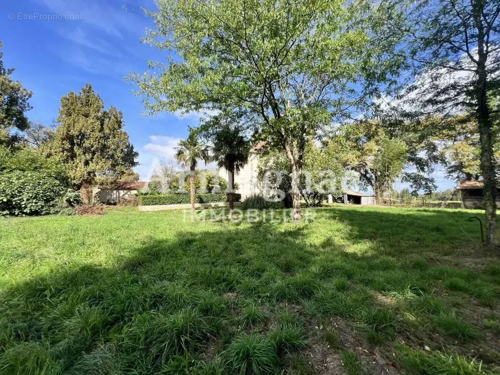 Jardin - Maison de Maître avec Dépendances à Castelnau-d’Auzan-Labarrère