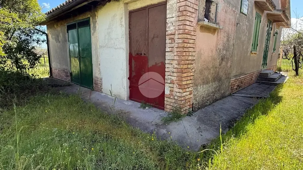 Extérieur - Rustic House with Large Garden in Corigliano-Rossano
