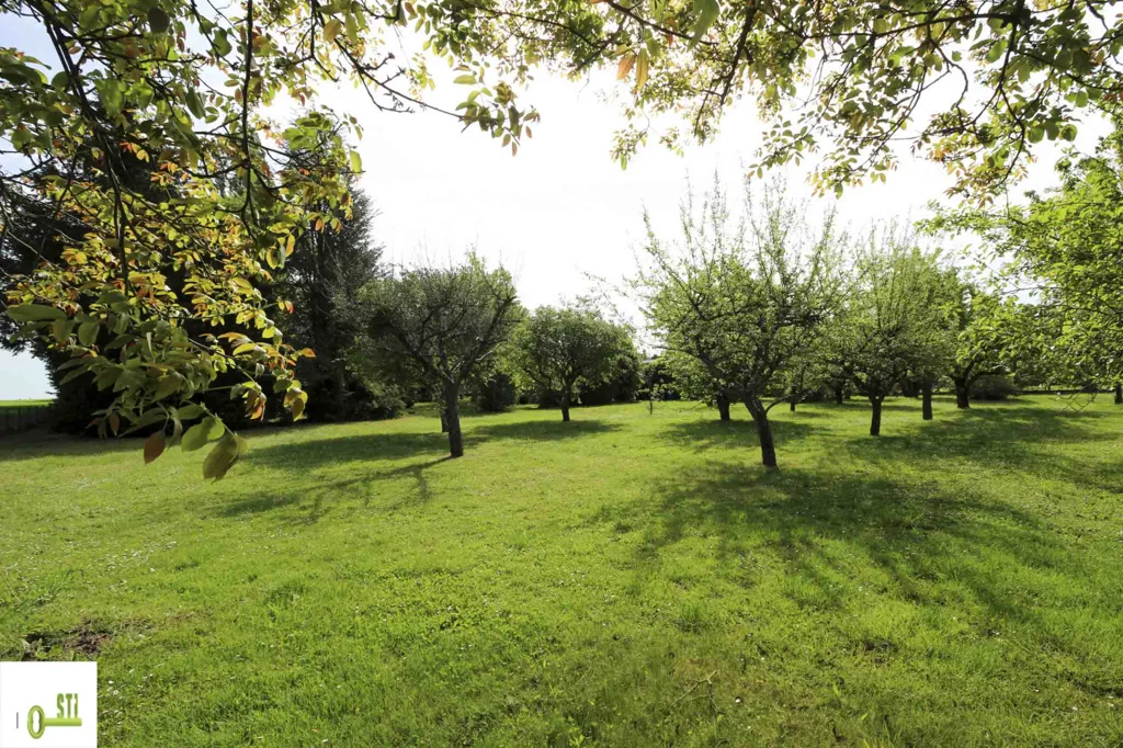 Jardin - Maison avec Jardin et Dépendances à Dammarie-sur-Loing
