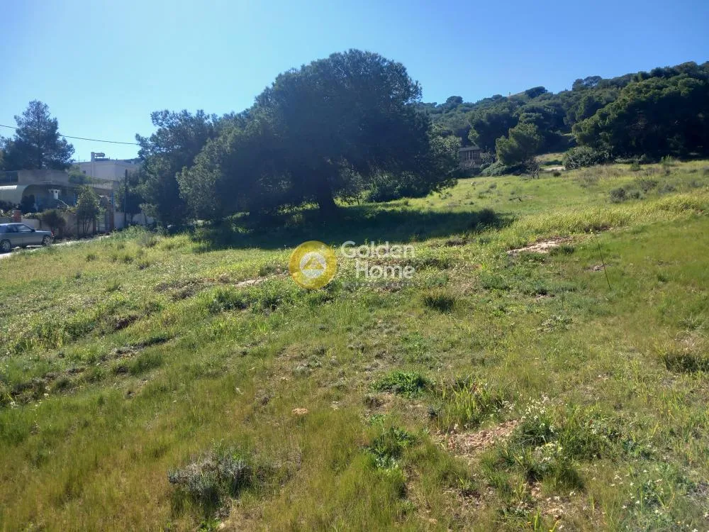 Jardin - Plot with Sea View in Central Area