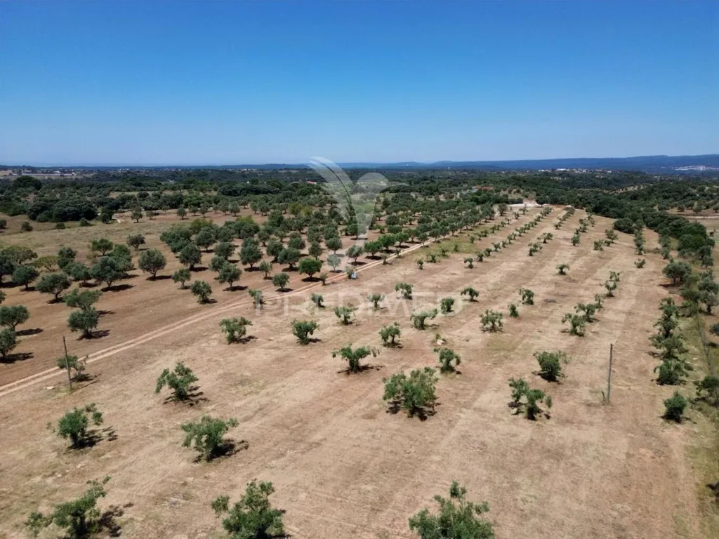 Vue aérienne - Rural Quinta with Olive Grove in Vaqueiros