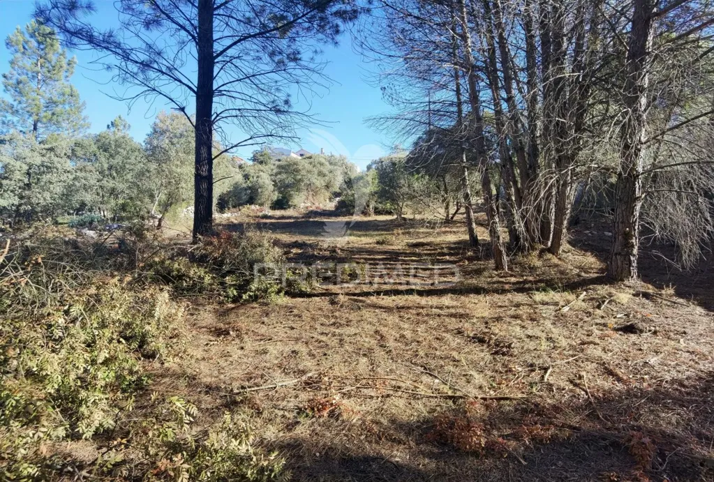 Aed - Urban Plot with Field View in Minde / Alcanena