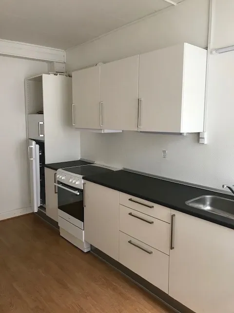 Cuisine - Renovated 2-Bedroom Flat in Balle