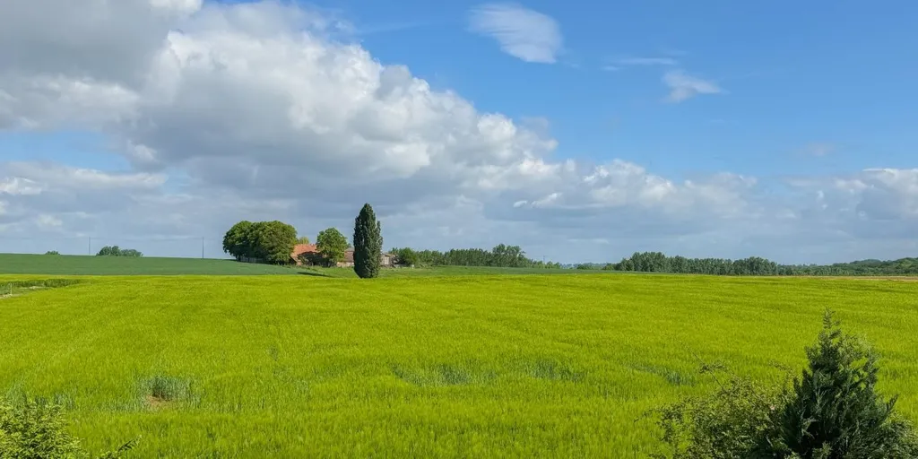 Villa avec Jardin et Piscine à Ellezelles