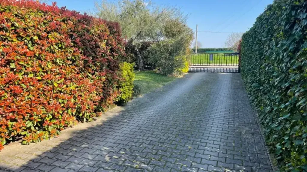 Välivaade - Rustic Villa with Garden in Imola