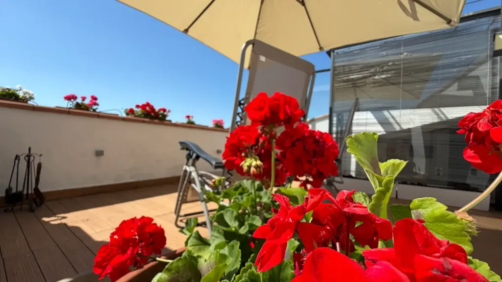 Terrazza - Appartamento con terrazza e mansarda a Firenze
