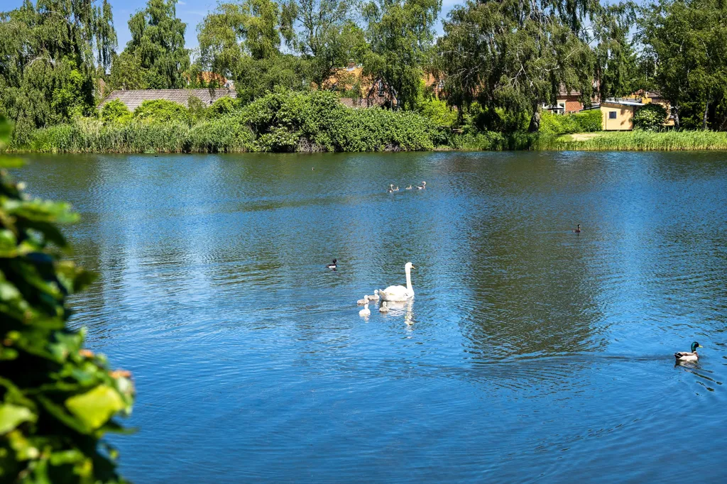 Year-Round Plot with 5G Coverage in Sakskøbing