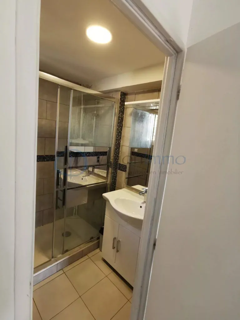 Salles de bain - Appartement Rénové pour Investisseur à Proximité Universitaire