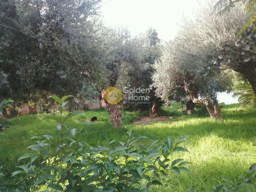 Jardin - Seaside Plot with Sea View in Patras Suburb
