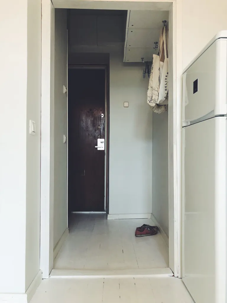 Entrée - Bright Studio with Balcony in Kallio, Helsinki