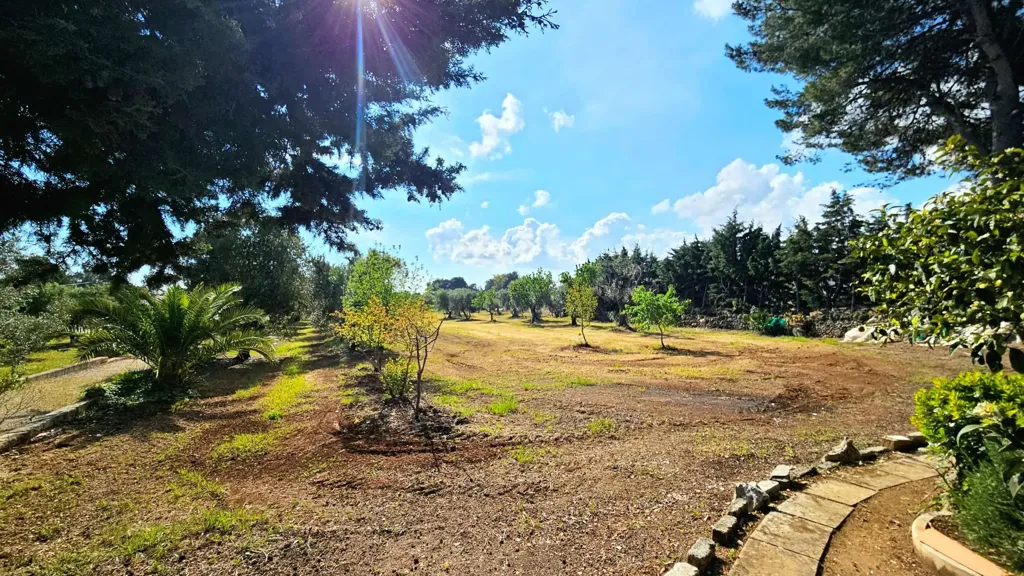 Jardin - Villa with Olive Grove near Carovigno