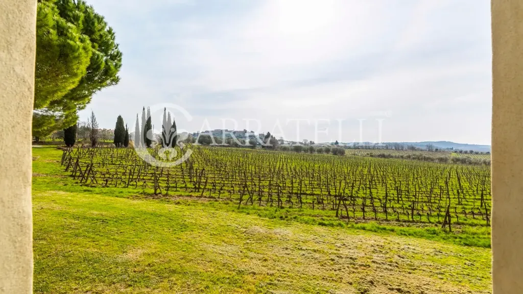 Jardin - Vineyard Estate with Casale in Chianti