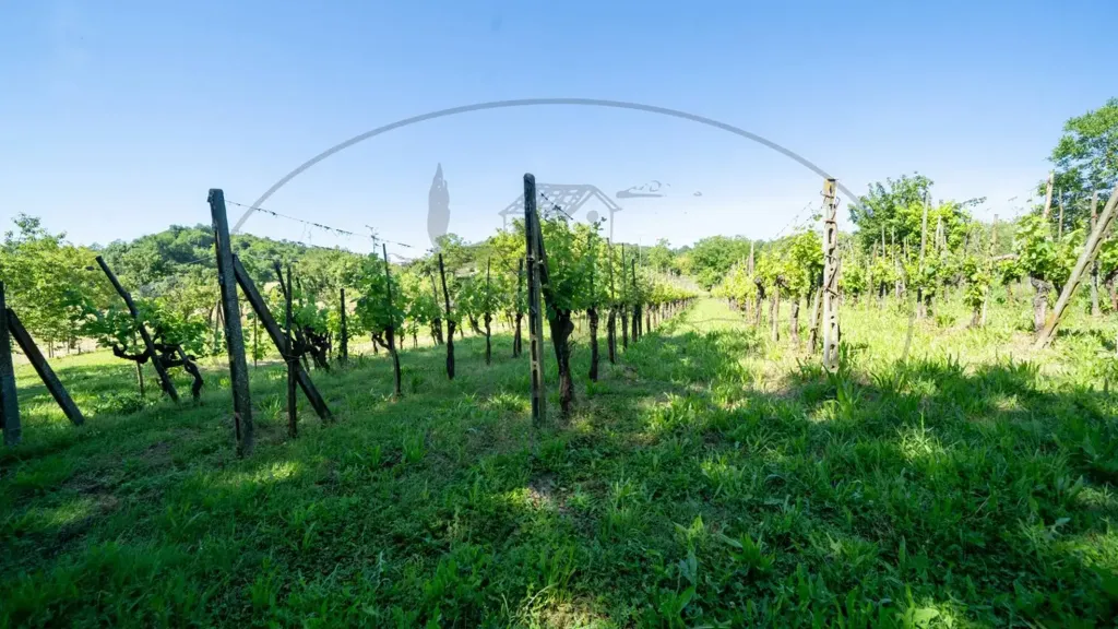 Aed - Rustic Farmhouse with Multiple Uses in Figline Valdarno