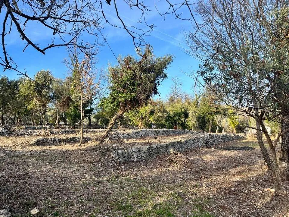 Aed - Buildable Plot with Garden in Mons